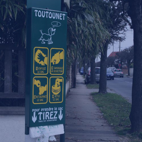 5 Toutounettes