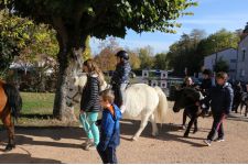 Logo de AUVERGNE EQUI LOISIRS Logo de AUVERGNE EQUI LOISIRS
