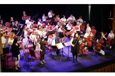 Logo de DU VENT DANS LES CORDES Logo de DU VENT DANS LES CORDES