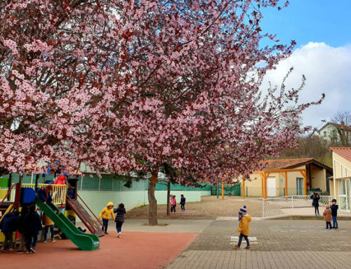 Rentrée scolaire lundi 26 avril : préparez le retour de vos enfants à l’école