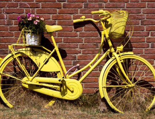 Collecte de vélos : votre vieille bicyclette, « Petite Reine » du Tour de France en 2020