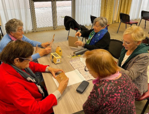 Jeux de société et visite guidée pour la semaine bleue !