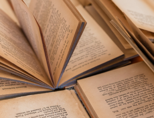 Lecture : la bibliothèque partage ses coups de cœur de la rentrée !