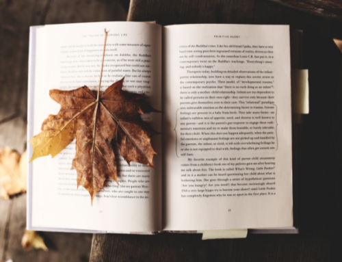 Lecture : la bibliothèque partage ses coups de cœur du mois de novembre !