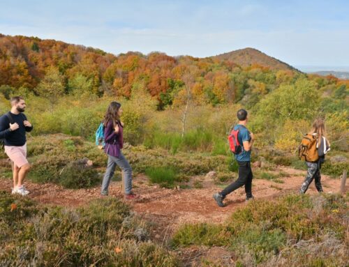 Un week-end entre visite, randonnée pétanque et forum des associations à Châtel-Guyon du 5 au 7 septembre