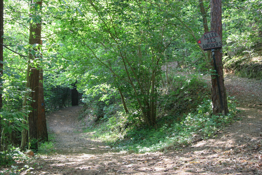 Photo forêt Châtel-Guyon