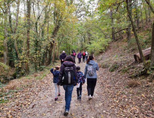 Un programme de balades 100% nature pour (re)découvrir Châtel-Guyon et ses alentours !